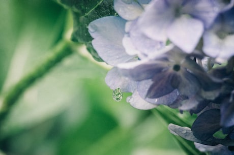 卢正雨(卢正雨：90后白手起家做欧洲cFO，如今靠着AIoT项目布局智能城市)